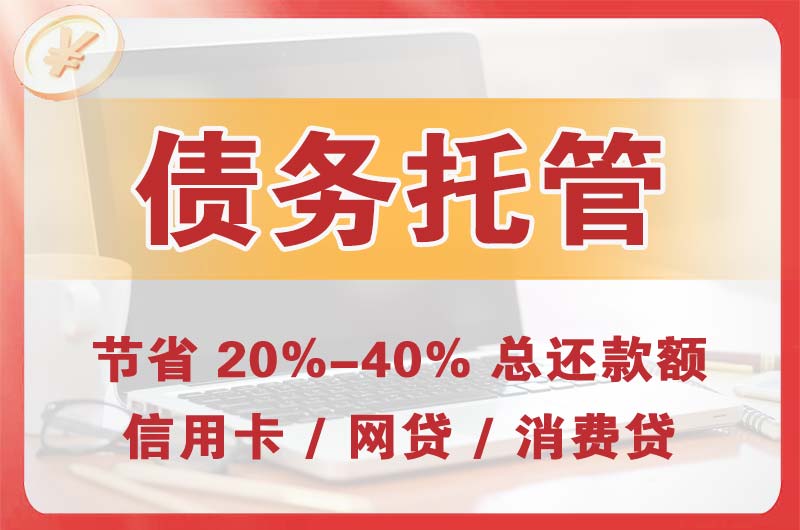宝应债务托管