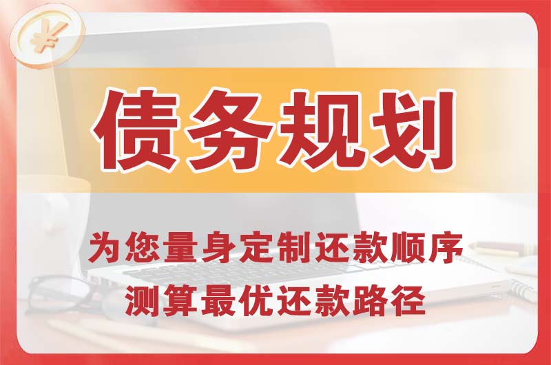 宝应债务规划